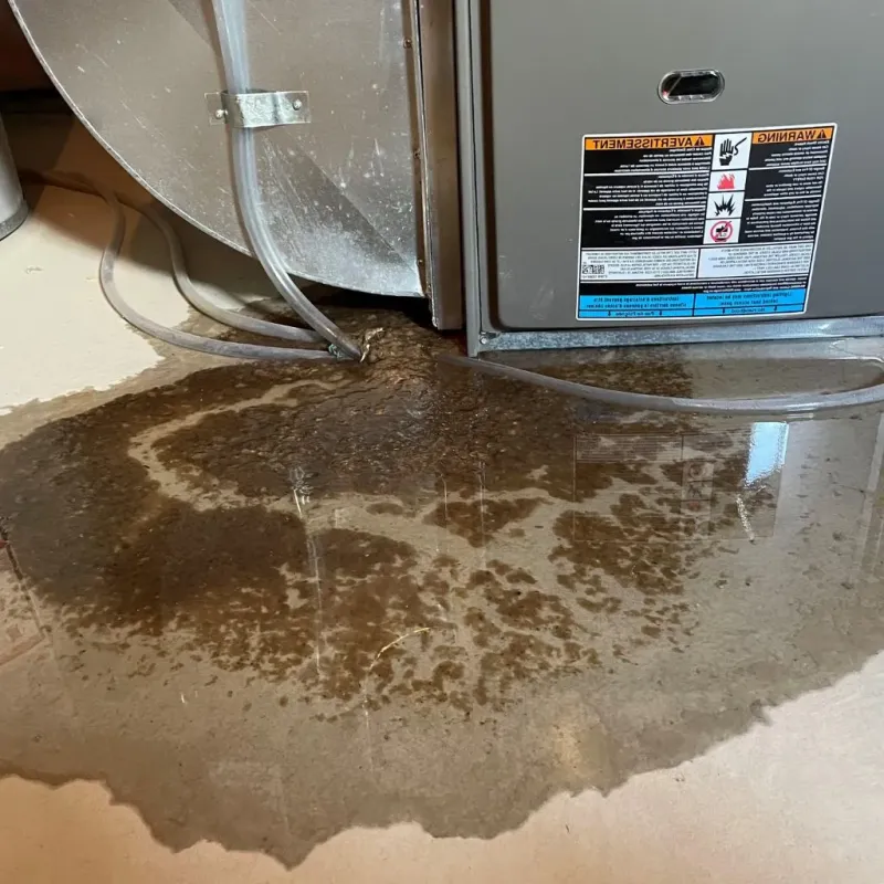 Pipe Burst and Leak Restoration in Centerfield, UT