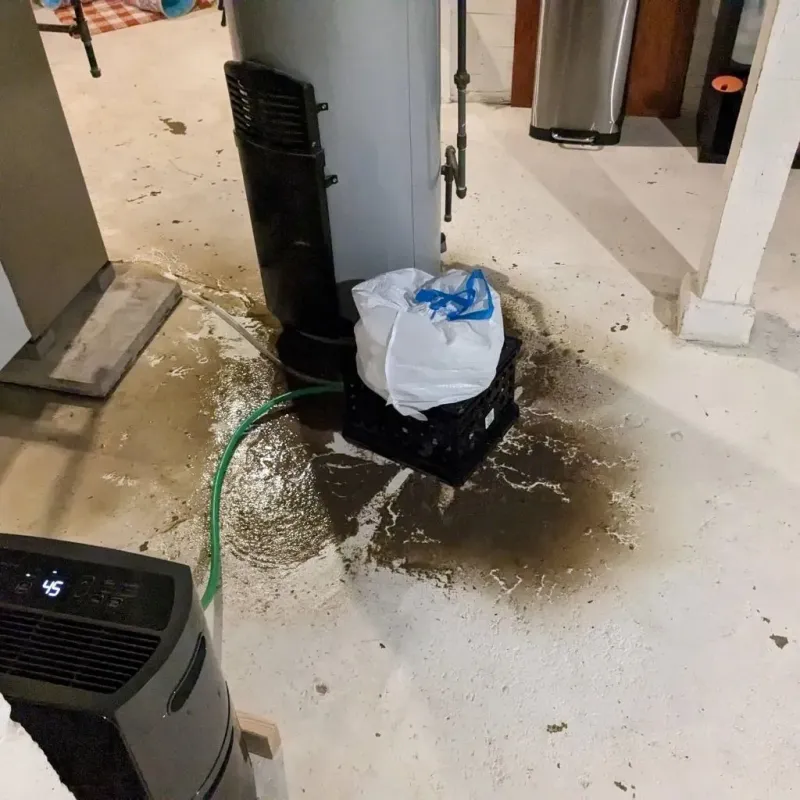 Sewage Backup Cleanup Service in Centerfield, UT